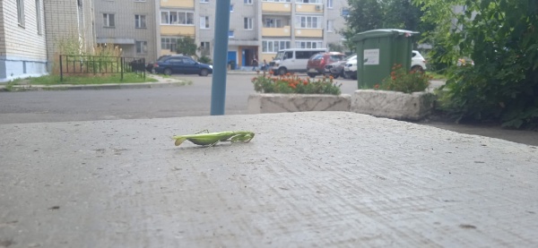 baoofeJHc5w.jpg baoofeJHc5w.jpg