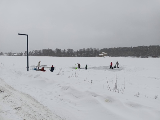 IMG20220106130326.jpg IMG20220106130326.jpg