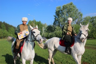 кони1.jpg кони1.jpg