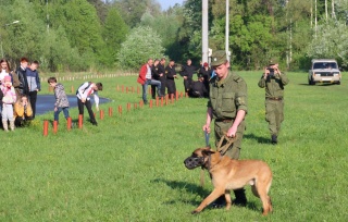 собаки1.jpg собаки1.jpg