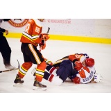 BG4I0669.jpg BG4I0669.jpg