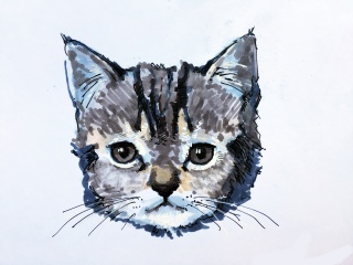 рисунок2.jpg рисунок2.jpg