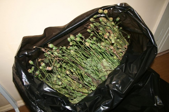 a3e6d15761cebb9918bffe6c0bff1085.jpg a3e6d15761cebb9918bffe6c0bff1085.jpg