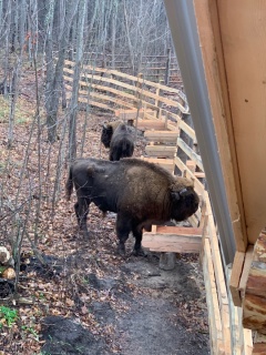 em5XFSHBjRU.jpg em5XFSHBjRU.jpg