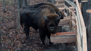 hHmkSJ27cP0.jpg hHmkSJ27cP0.jpg