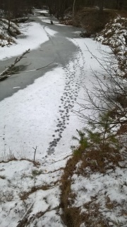 -nEXlb8e9SU.jpg -nEXlb8e9SU.jpg