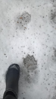 JS053h2ktd0.jpg JS053h2ktd0.jpg