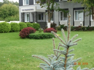 DSC07917.jpg DSC07917.jpg