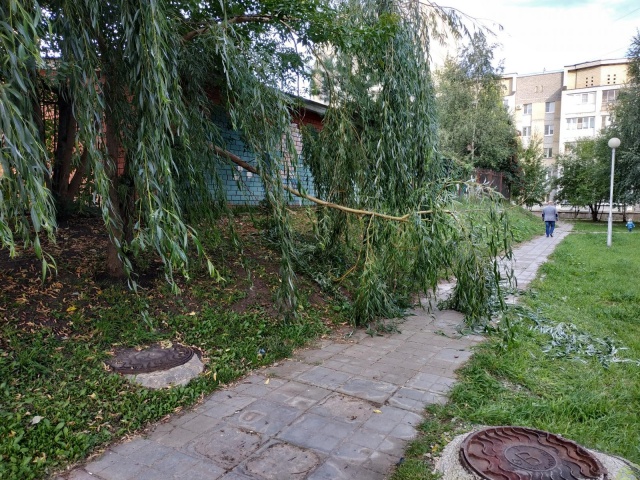 1566828700.4242IMG_20190826_170903.jpg 1566828700.4242IMG_20190826_170903.jpg