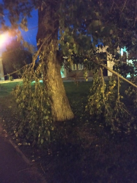 1_1565372960.9934IMG_20190809_204724.jpg 1_1565372960.9934IMG_20190809_204724.jpg