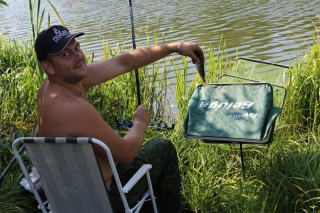 CabN-725Qag.jpg CabN-725Qag.jpg