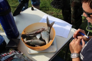 wrUV5j-22WQ.jpg wrUV5j-22WQ.jpg