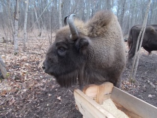 Uzi28wi-OTQ.jpg Uzi28wi-OTQ.jpg