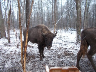 YuXDJN_JZfA.jpg YuXDJN_JZfA.jpg