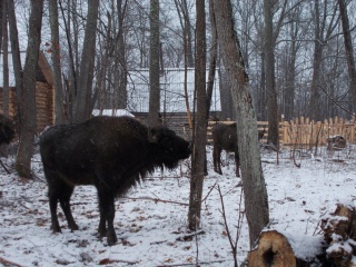 nbz5BUic-j0.jpg nbz5BUic-j0.jpg