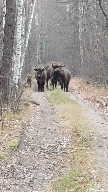 2_JGPdKdoVaYQ.jpg 2_JGPdKdoVaYQ.jpg