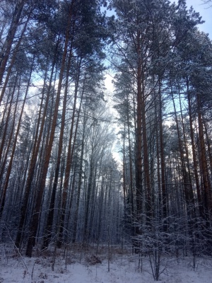 m7D-Vbd_R4s.jpg m7D-Vbd_R4s.jpg