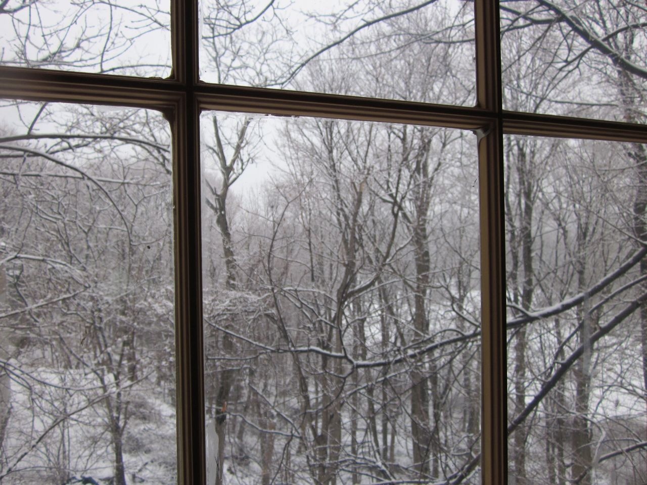 8uAoiz8-npM.jpg 8uAoiz8-npM.jpg