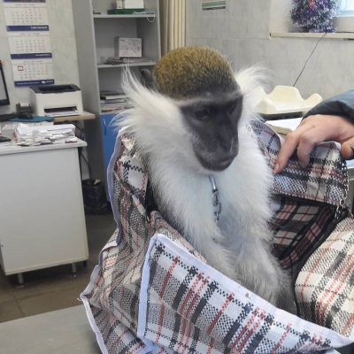 bYTWGLvE840.jpg bYTWGLvE840.jpg