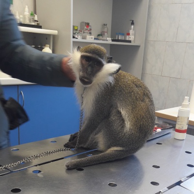 iA5fbh7vTnY.jpg iA5fbh7vTnY.jpg