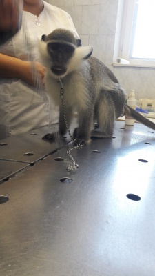 s1lZDlXF_SI.jpg s1lZDlXF_SI.jpg