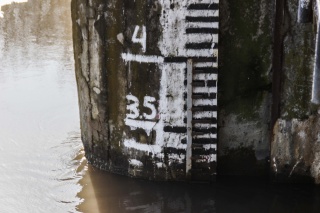 IMG_1706.jpg IMG_1706.jpg