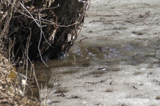 IMG_1721.jpg IMG_1721.jpg