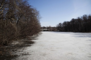 IMG_1724.jpg IMG_1724.jpg