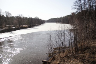 IMG_1729.jpg IMG_1729.jpg