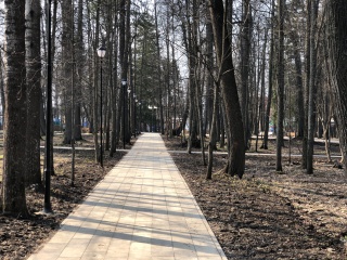 IMG_3574.jpg IMG_3574.jpg