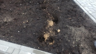 v59ovoYXB44.jpg v59ovoYXB44.jpg