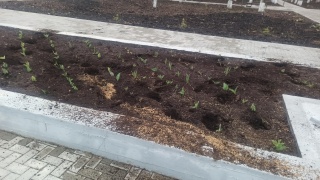 wNogOaR3BQ4.jpg wNogOaR3BQ4.jpg