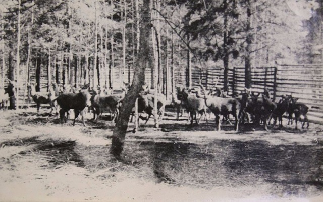 1AAD77BC-62DC-46FF-9703-2DEEFB9FB087.jpeg 1AAD77BC-62DC-46FF-9703-2DEEFB9FB087.jpeg