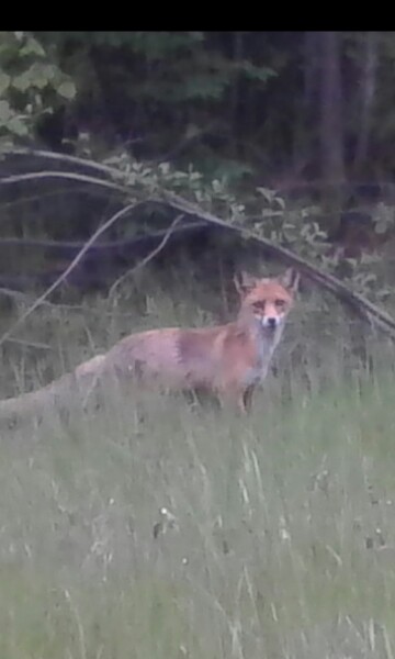 pwEA4LWig-I.jpg pwEA4LWig-I.jpg