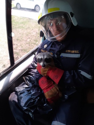 7jkz0cVhpu4.jpg 7jkz0cVhpu4.jpg