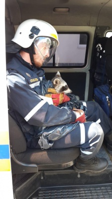 acQfKiqCvUw.jpg acQfKiqCvUw.jpg