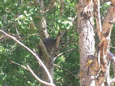 om2X_G-ET5c.jpg om2X_G-ET5c.jpg