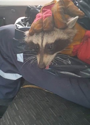 qytCV6HvG6w.jpg qytCV6HvG6w.jpg