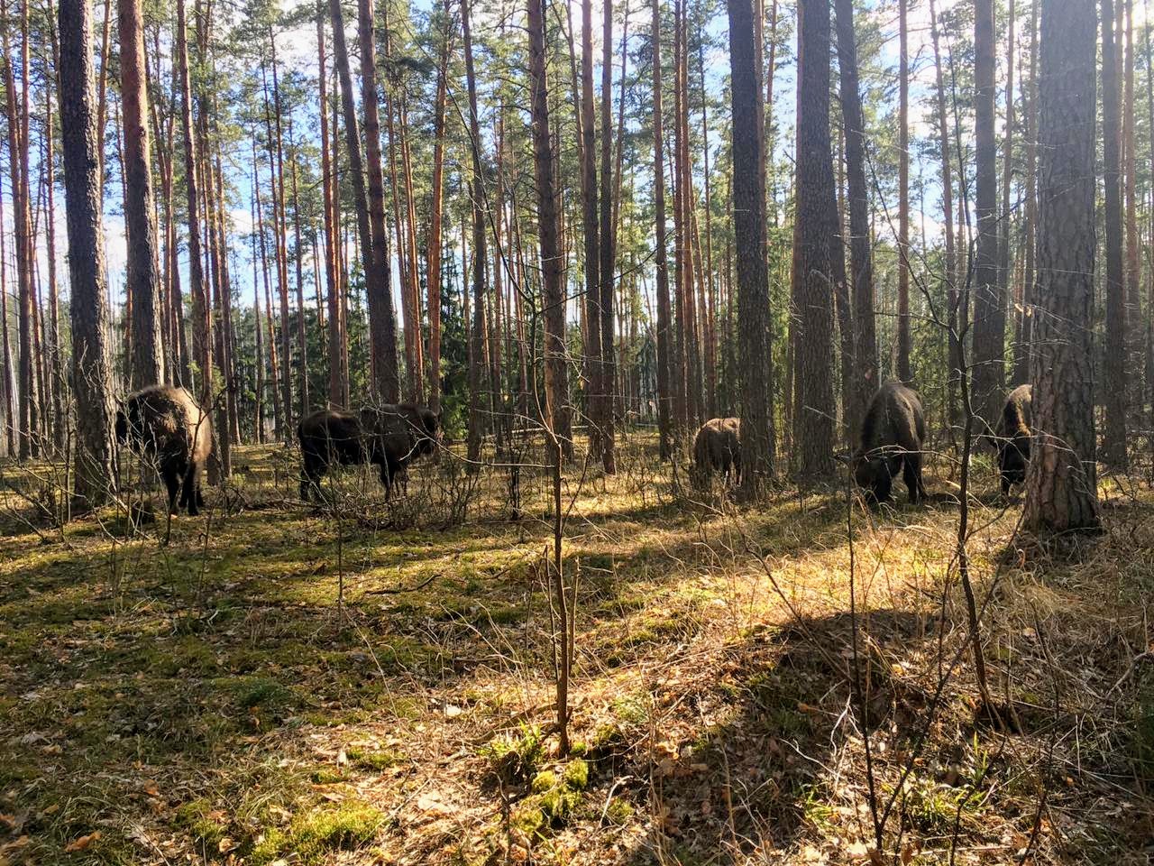 rYMu5DZXAmA.jpg rYMu5DZXAmA.jpg