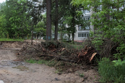 IMG_5910.jpg IMG_5910.jpg