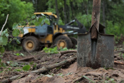 IMG_5926.jpg IMG_5926.jpg