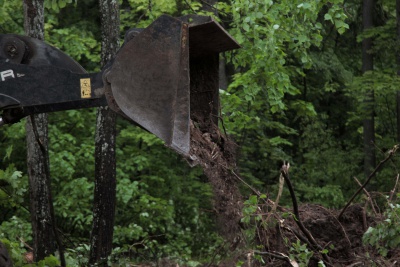 IMG_5941.jpg IMG_5941.jpg