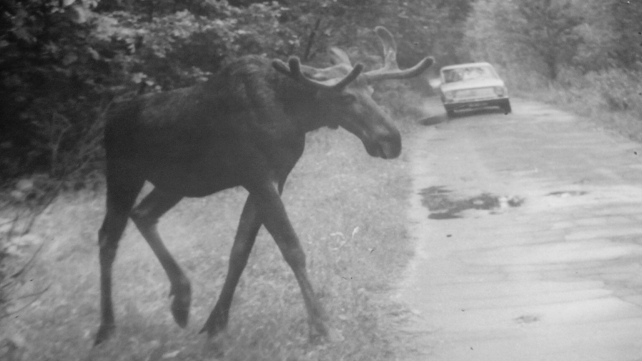 X5A48ZSeWfs.jpg X5A48ZSeWfs.jpg