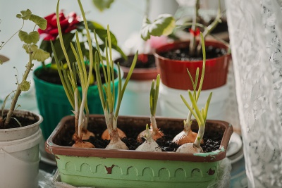 JYdefVK87dk.jpg JYdefVK87dk.jpg