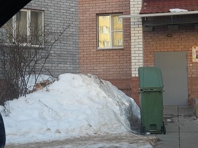 20210330_155220.jpg 20210330_155220.jpg