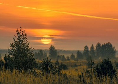 2TiSNzgZAx4.jpg 2TiSNzgZAx4.jpg