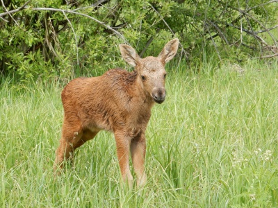 8JZnYRTZbWI.jpg 8JZnYRTZbWI.jpg