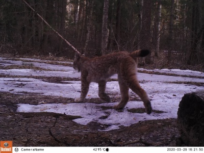 8PeEqHdB2M4.jpg 8PeEqHdB2M4.jpg