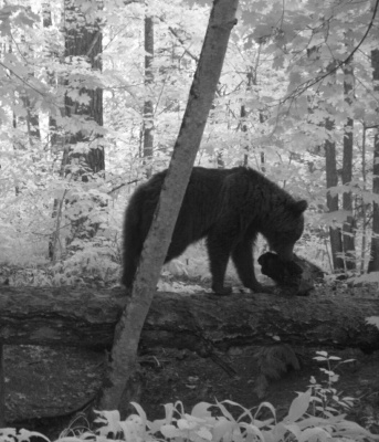 9oRWZRFF6bk.jpg 9oRWZRFF6bk.jpg