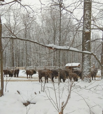 Fc_JAfuK0UQ.jpg Fc_JAfuK0UQ.jpg